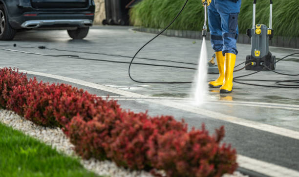 Brick and Stone Cleaning